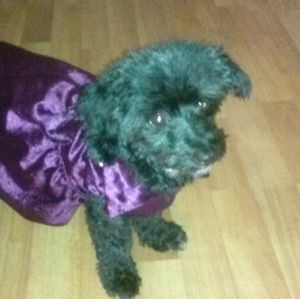 Meet your Posher, Karen